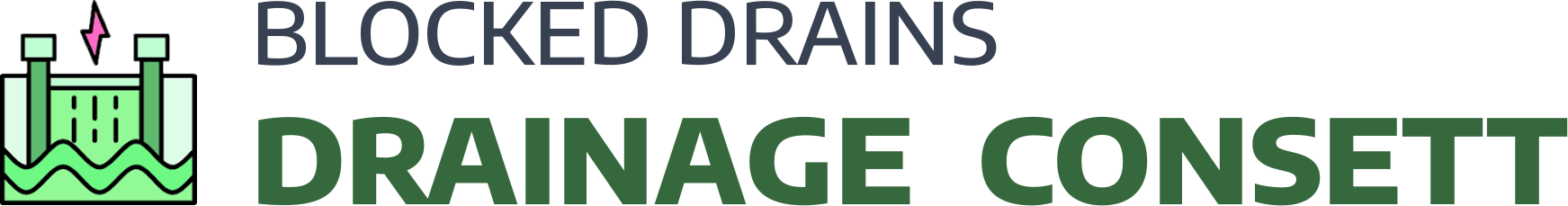 website logo